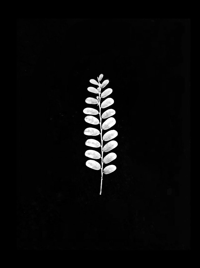 gaithersburg-infertility