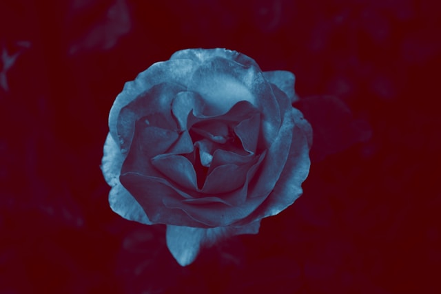 gaithersburg-pelvic-exam-metropolitan-family-planning