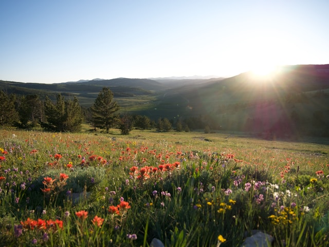 abortion-care-irregular-periods-in-gaithersburg